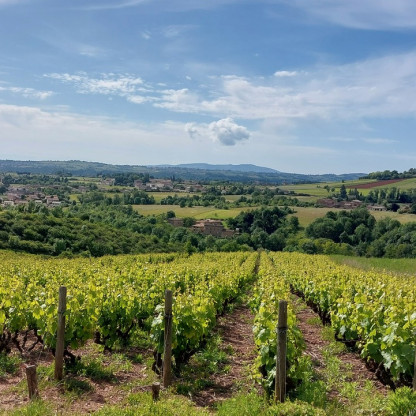 LA BEAUJOLAISE 2026
